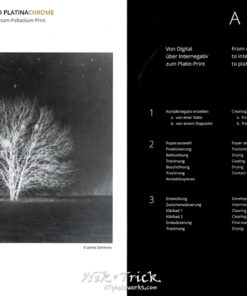 Platinum-Palladium Print ~ A Lovely Publication by JOBO Artisan