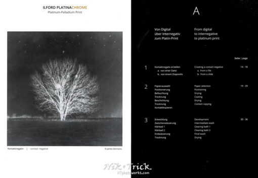Platinum-Palladium Print ~ A Lovely Publication by JOBO Artisan