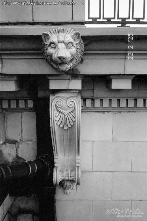 Ilford HP5+ @800asa in Ornano Nucleol BF200 shot in Pentax Espio Mini