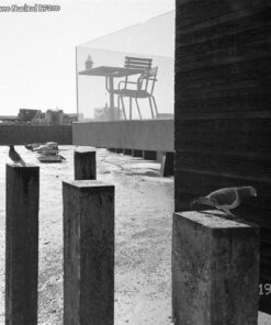 Ilford HP5+ @800asa in Ornano Nucleol BF200 shot in Pentax Espio Mini