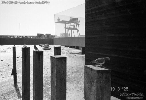 Ilford HP5+ @800asa in Ornano Nucleol BF200 shot in Pentax Espio Mini