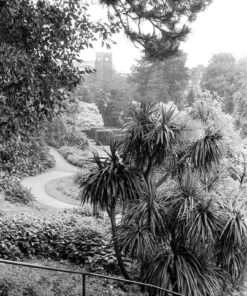 Kentmere 200 35mm Black & White Film