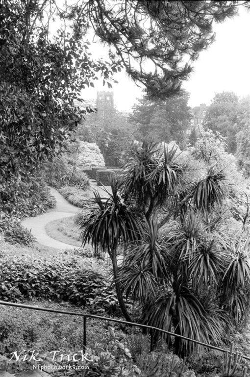 Kentmere 200 35mm Black & White Film
