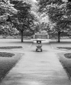 Kentmere 200 35mm Black & White Film