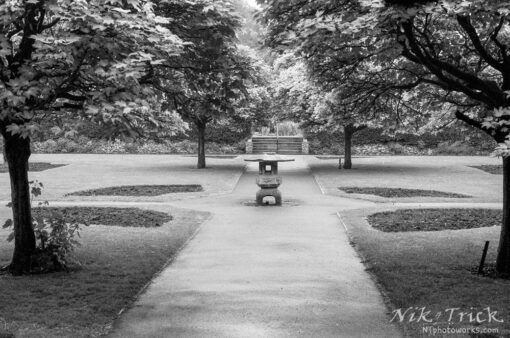 Kentmere 200 35mm Black & White Film