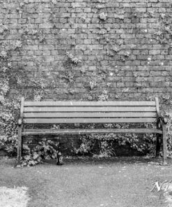 Kentmere 200 35mm Black & White Film