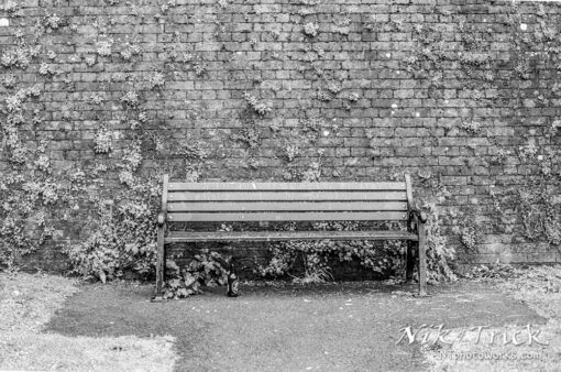 Kentmere 200 35mm Black & White Film