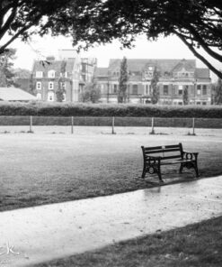 Kentmere 200 35mm Black & White Film