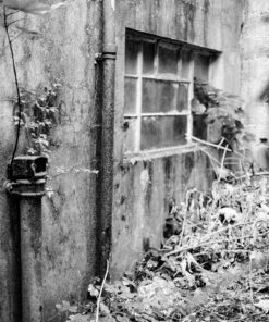 Kentmere 200 35mm Black & White Film