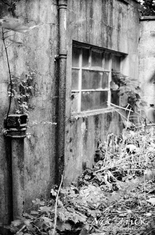 Kentmere 200 35mm Black & White Film