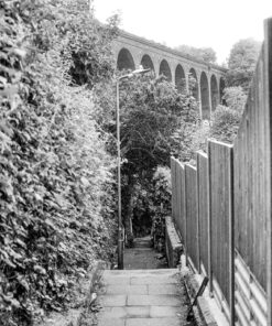 Kentmere 200 35mm Black & White Film