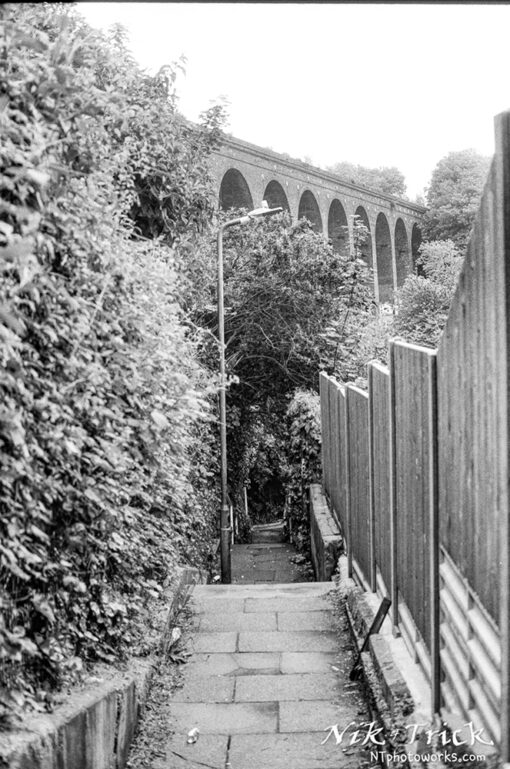 Kentmere 200 35mm Black & White Film