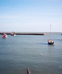 Lucky C200 35mm Colour Negative Film