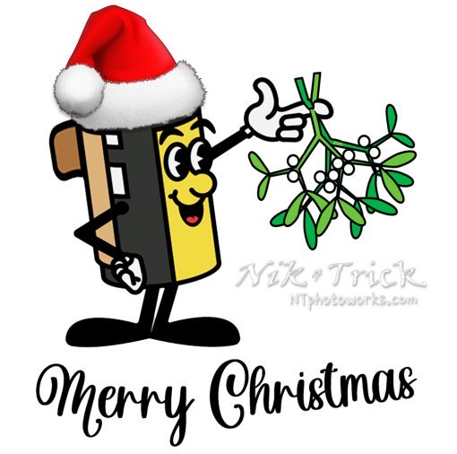 Unique Christmas Wrapping Service