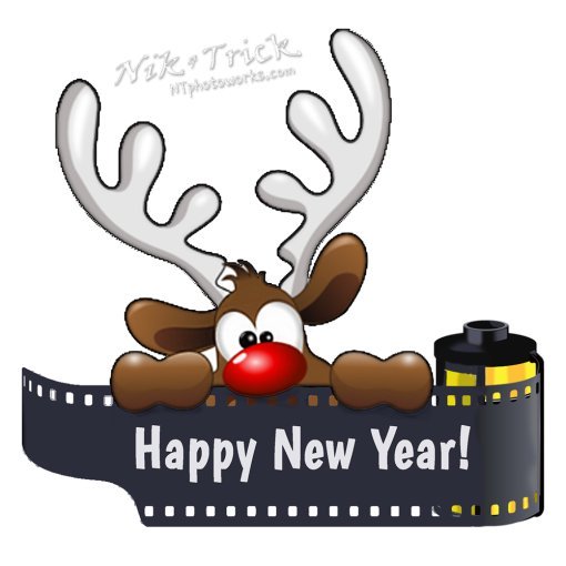 Unique Christmas Wrapping Service