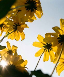 Kodak Kodacolor 100 35mm Film