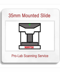 Pro-Lab Scanning Service for 35mm Mounted Slides