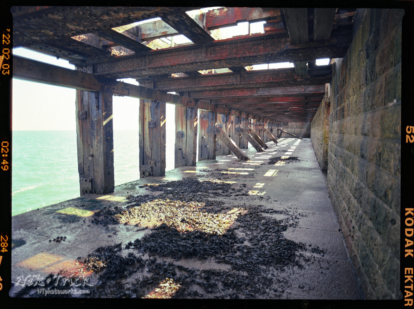 Drum Scan 6x4.5 Kodak Ektar 