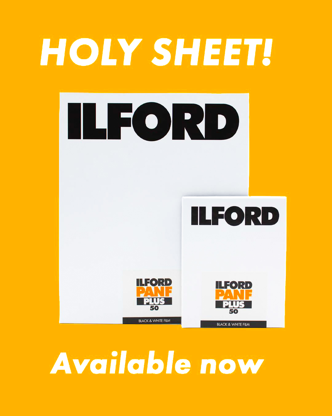 Ilford PanF Sheet Films